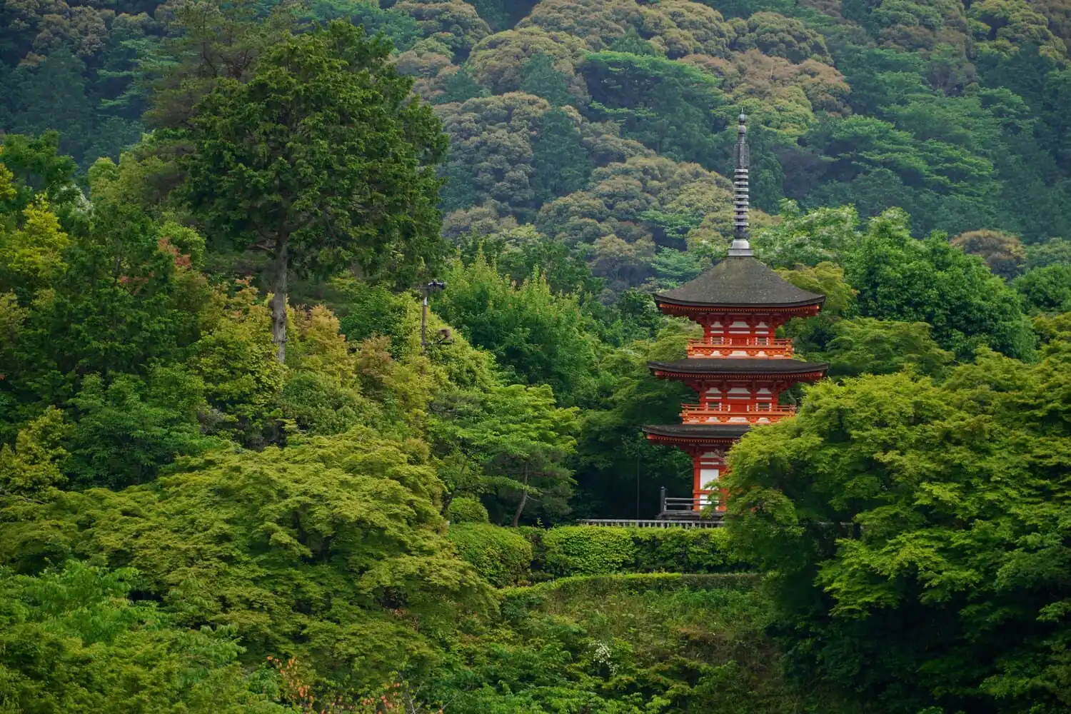 Indian Coast Guard on high alert after twin earthquakes in Andaman Sea, June 2025