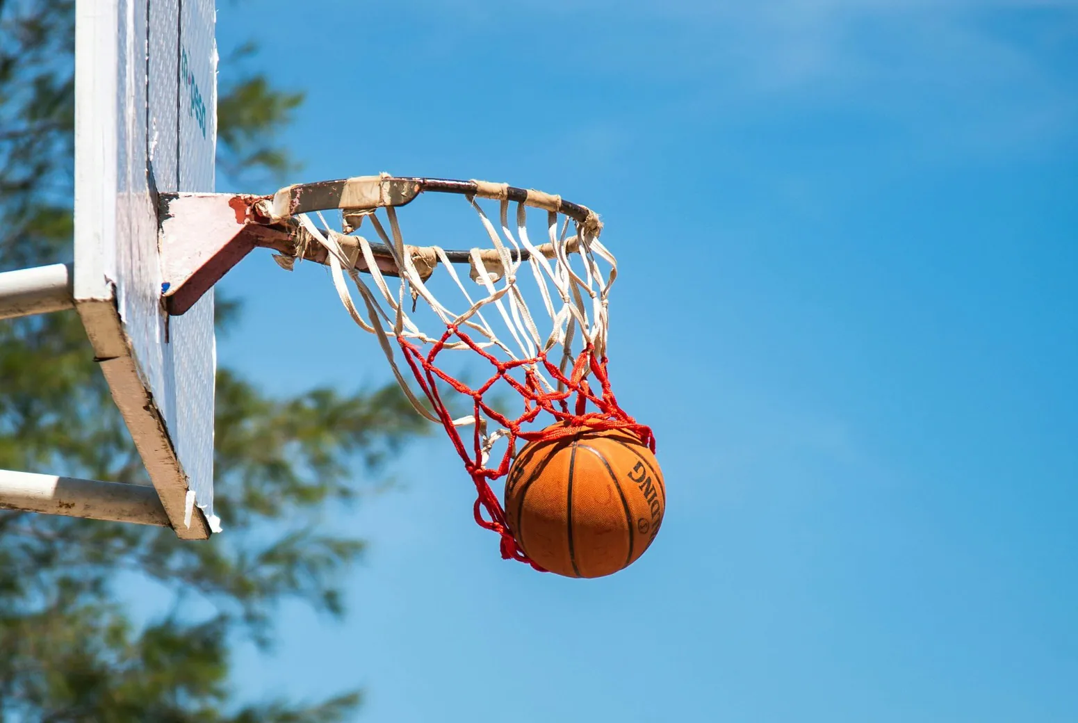 Myles Turner joins Milwaukee Bucks after Damian Lillard waiver